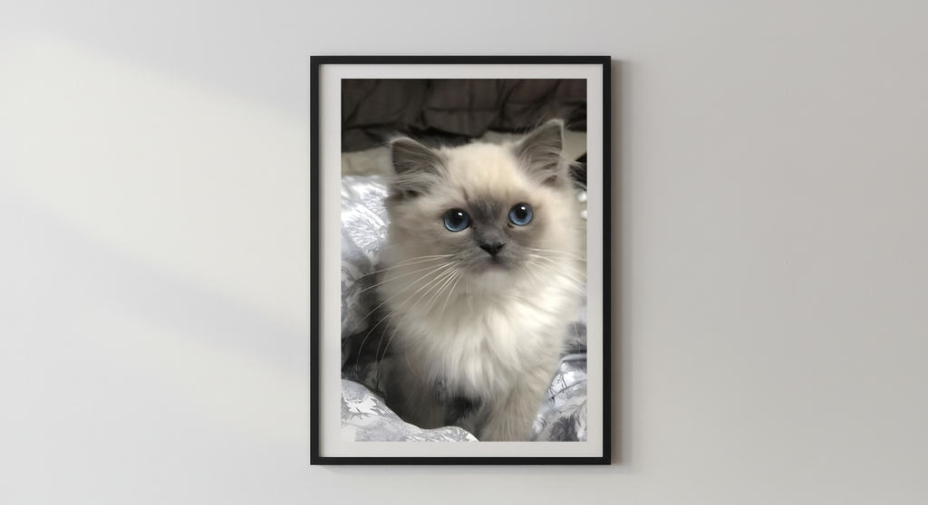 Wandbild x Personalisierungen