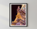 Designer x Paris Rose