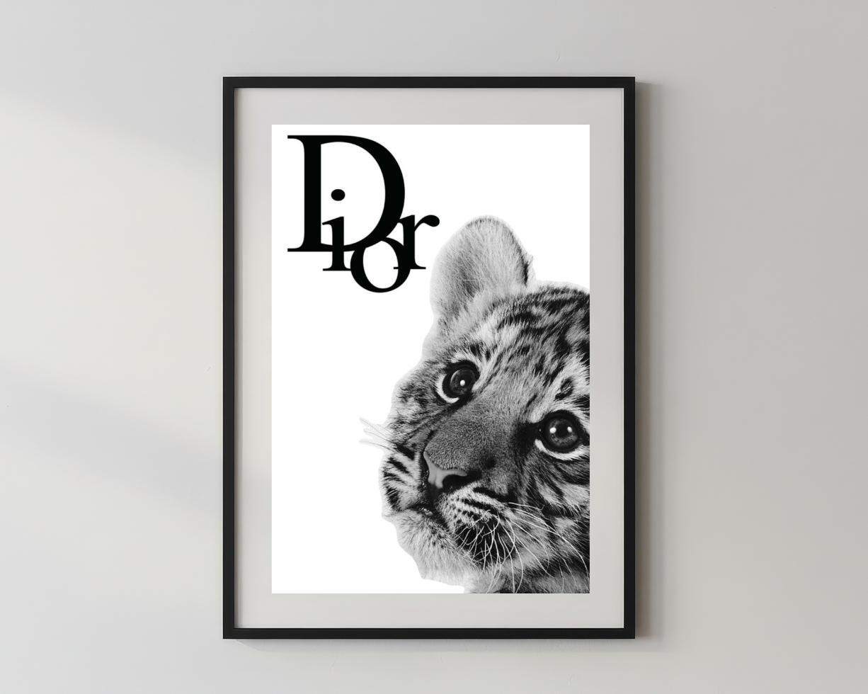 Designer x Dior