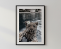 Designer x Baby Tiger